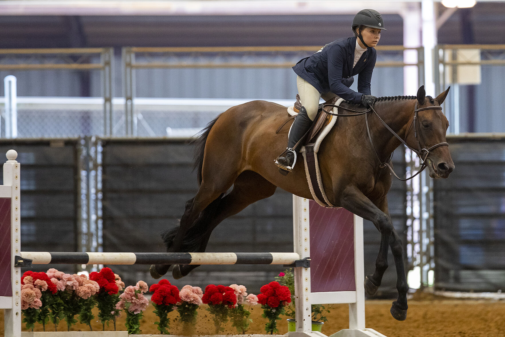 4-H horse show